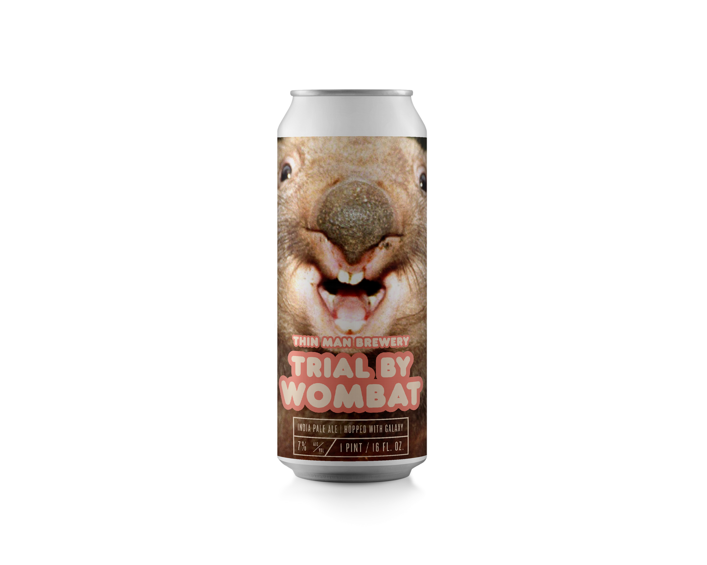 
                  
                    Trial by Wombat · Galaxy IPA
                  
                
